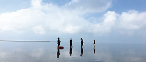 National Science Foundation Continues Support of Eastern Shore-Based Coastal Research