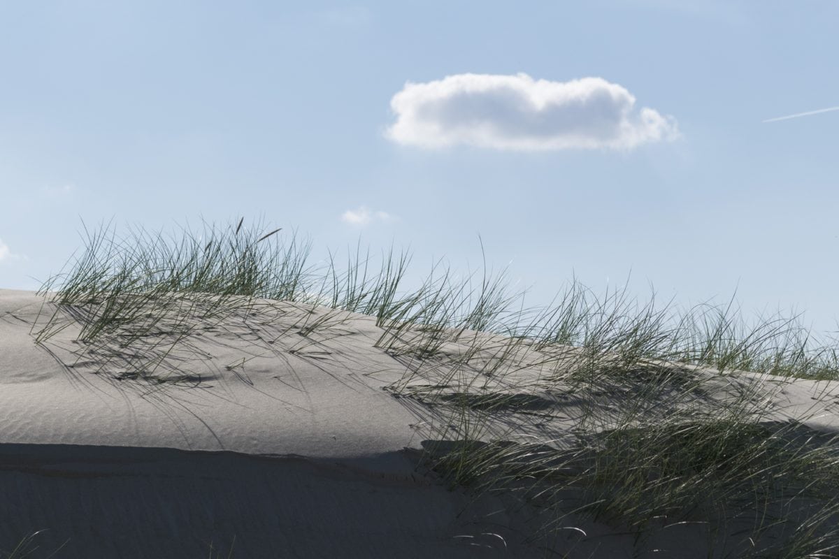 Northampton Trail Hits Dead End, Cape Charles Dune Plan Sprouts Up