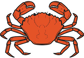 VIMS To Mail Derelict Crab Pot Surveys to Local Watermen