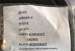 Ku Klux Klan Distributing Literature on Shore