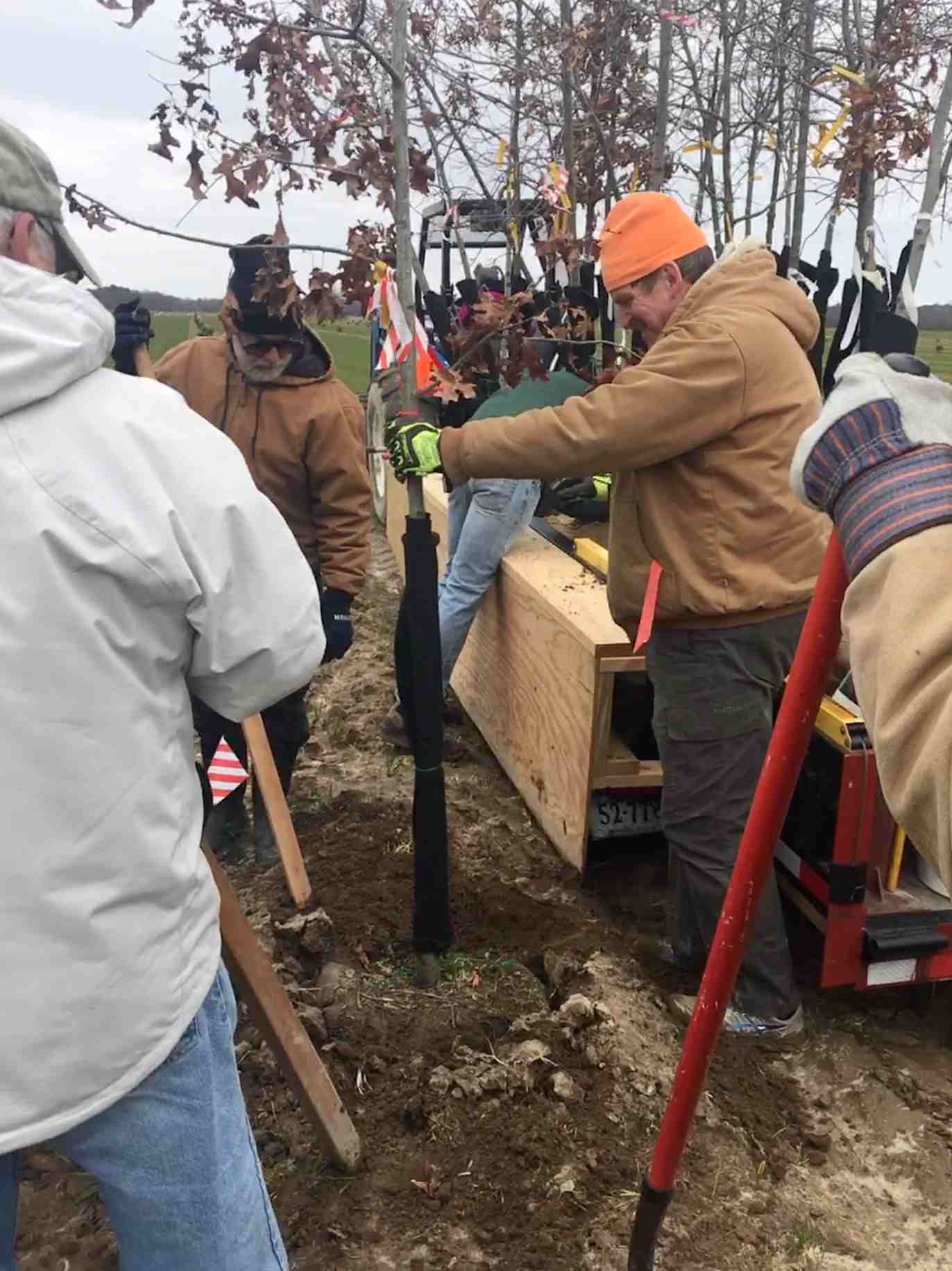 Volunteers Plant Seeds of Hope for  Migratory Birds at Magothy Bay Preserve