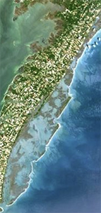 Build a Cedar Island Marsh