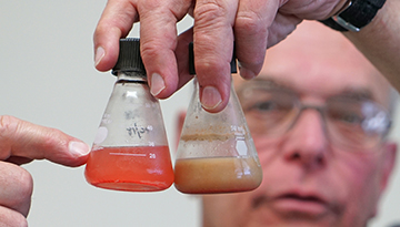 Microbe Managing the World, One Step at a Time