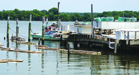 Eastern Shore Residents Poised To Make the Most of Summer