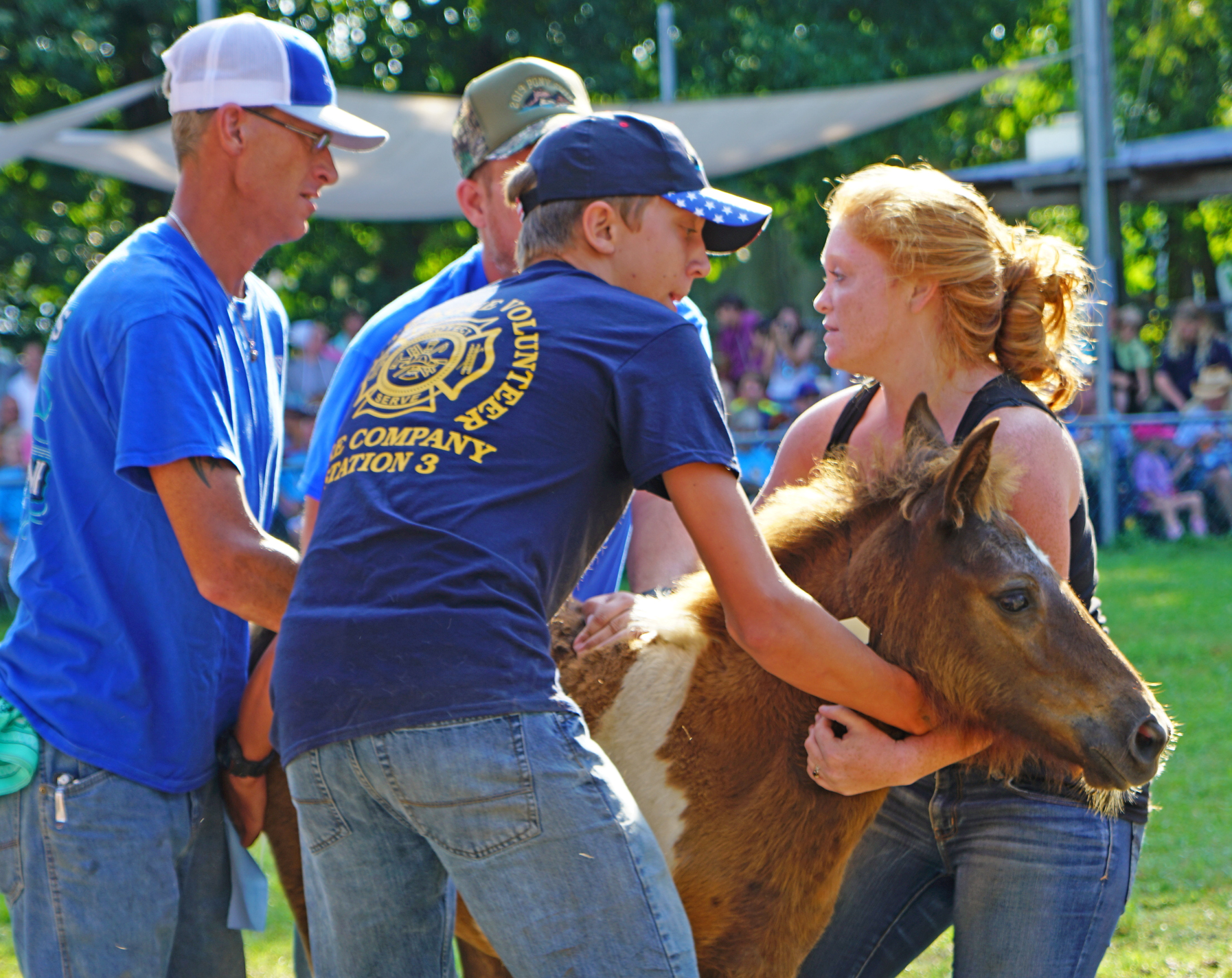 Pony Penning Returns to Chincoteague