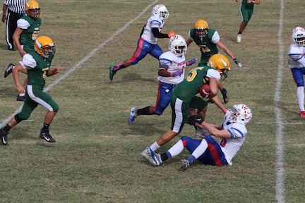 Turnovers Cost Vikings Homecoming Victory
