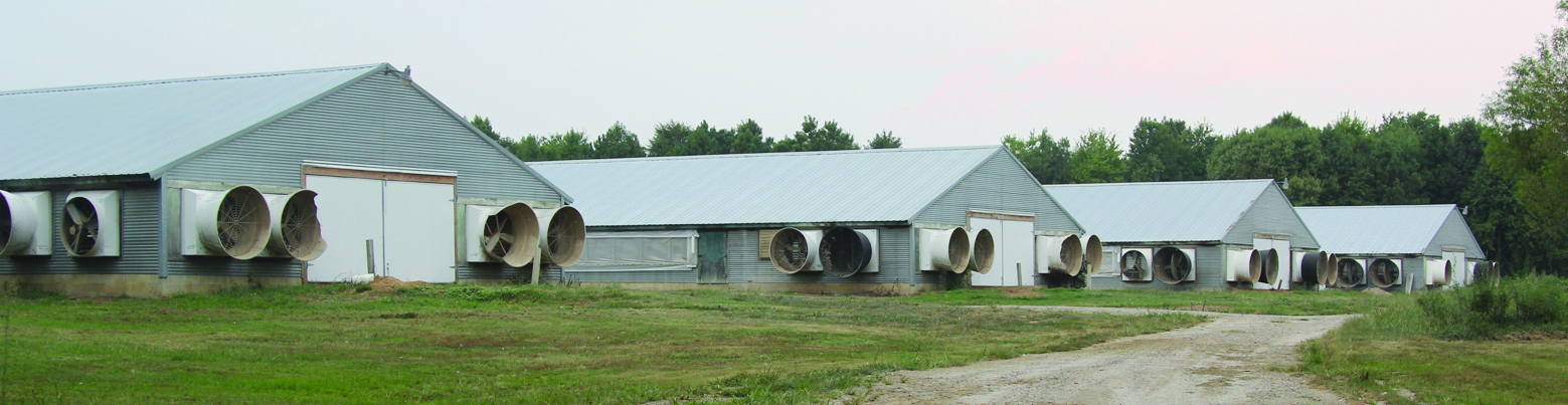 State Water Board Approves Permits for 45 Poultry Houses