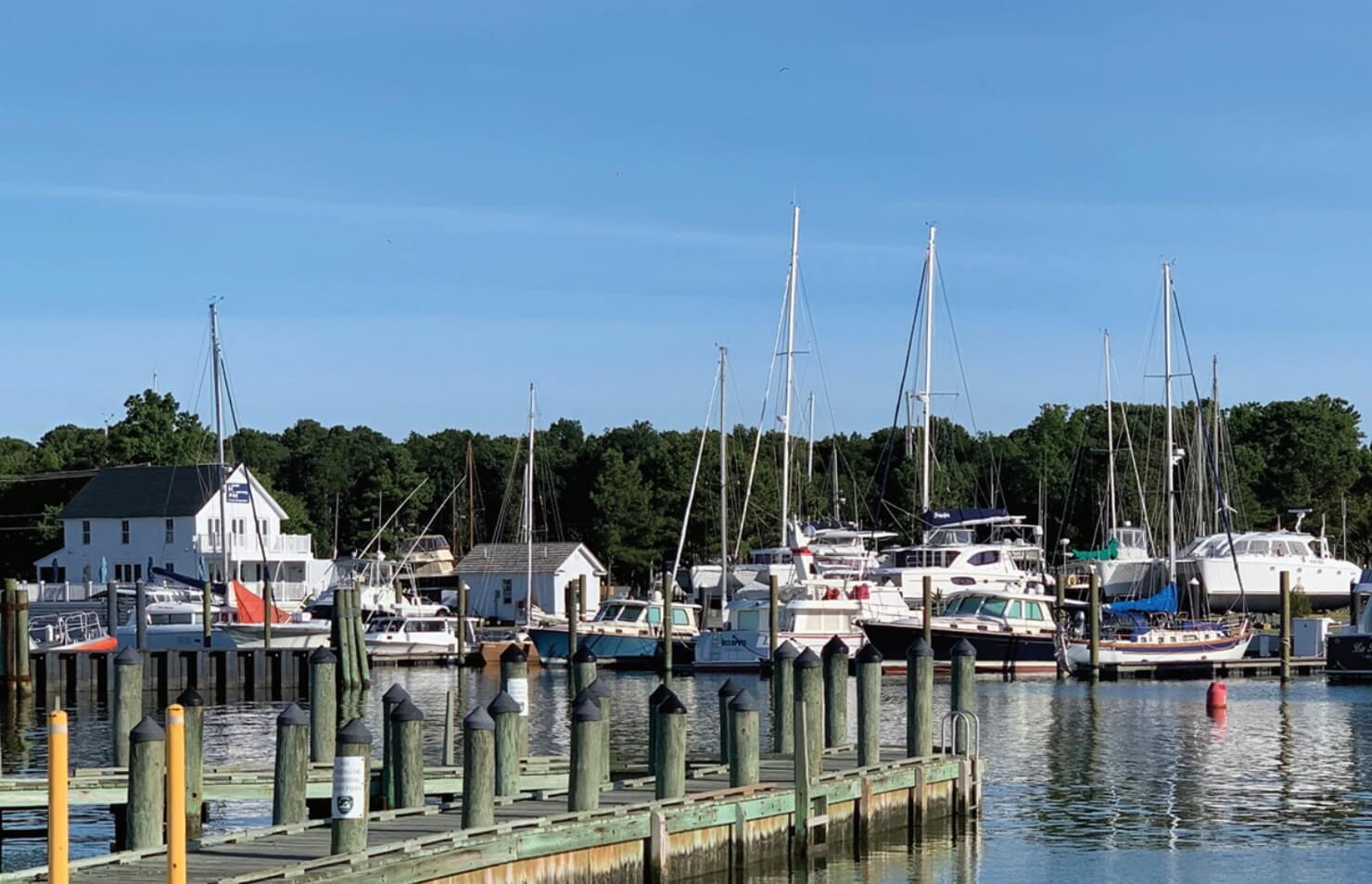Cape Charles Council Candidates Take Forum Online