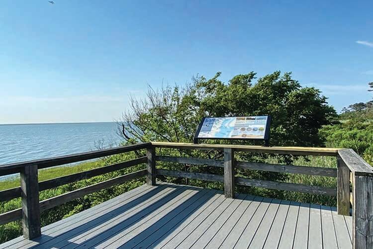From Deteriorating Walkway to Nature Walk Gem – With the Help of Some Friends