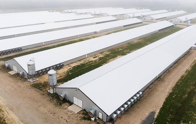 VIMS Study Shows No Significant Water Quality Changes From Poultry Operations