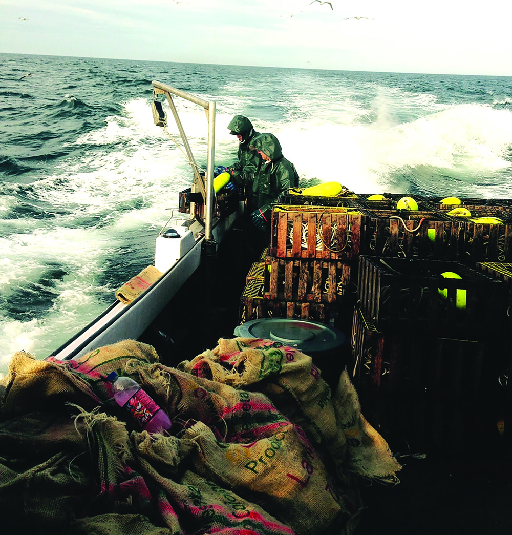 Offshore Wind Farm Threatens Tangier Family’s Conch Fishing Livelihood
