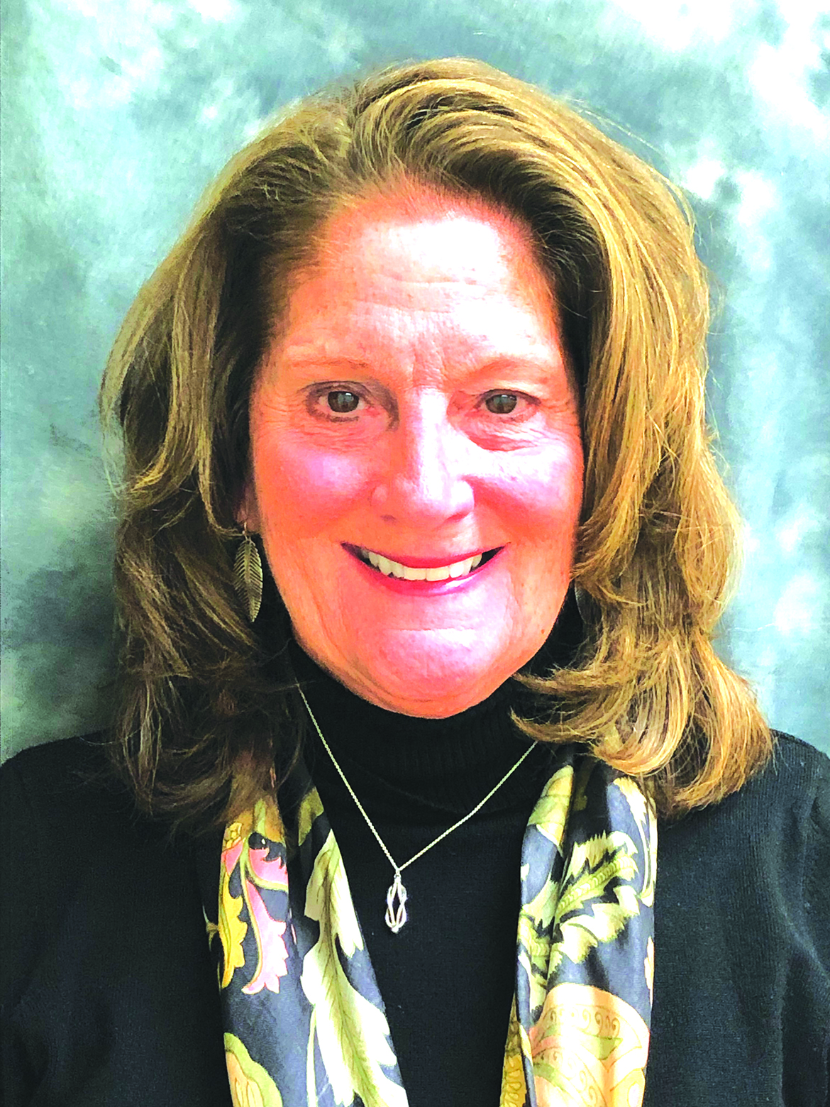 Stern Appointed to Hampton Roads Sanitation District Commission