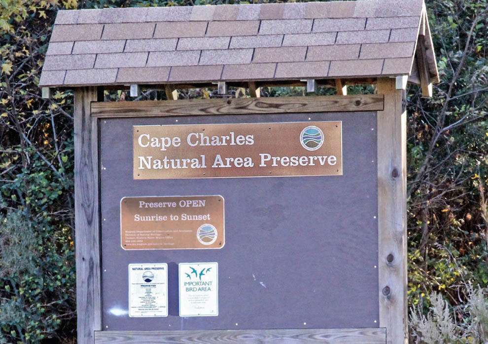 Cape Charles Natural Area Expands, Reopens