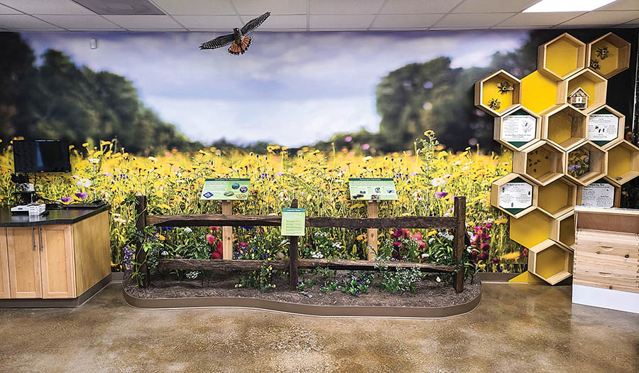 Kiptopeke Gets New Manager and Visitor Center