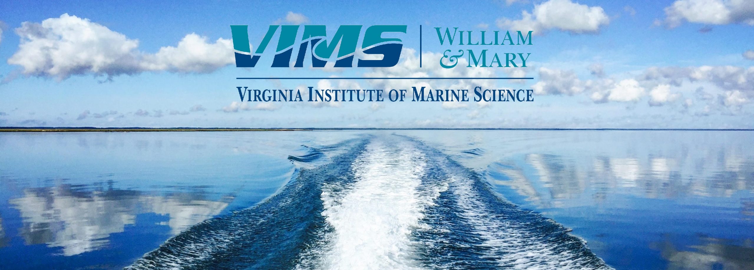 New project to bolster Cedar Island