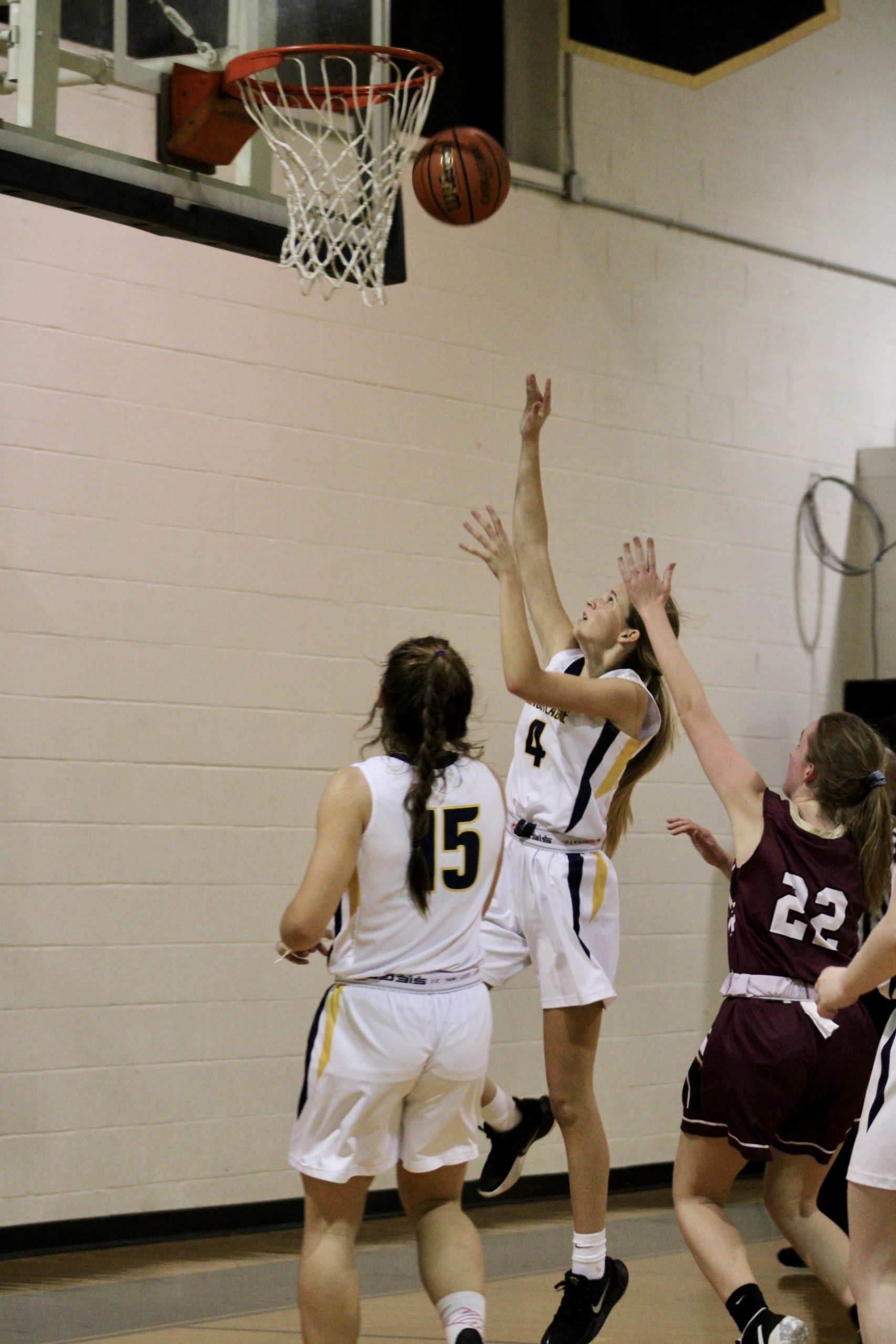 Chincoteague Ponies Face  Salisbury Christian School