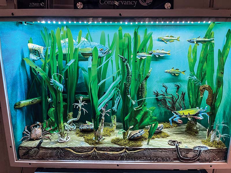 New Exhibit Creatively Celebrates Virginia Coast Reserve Milestones