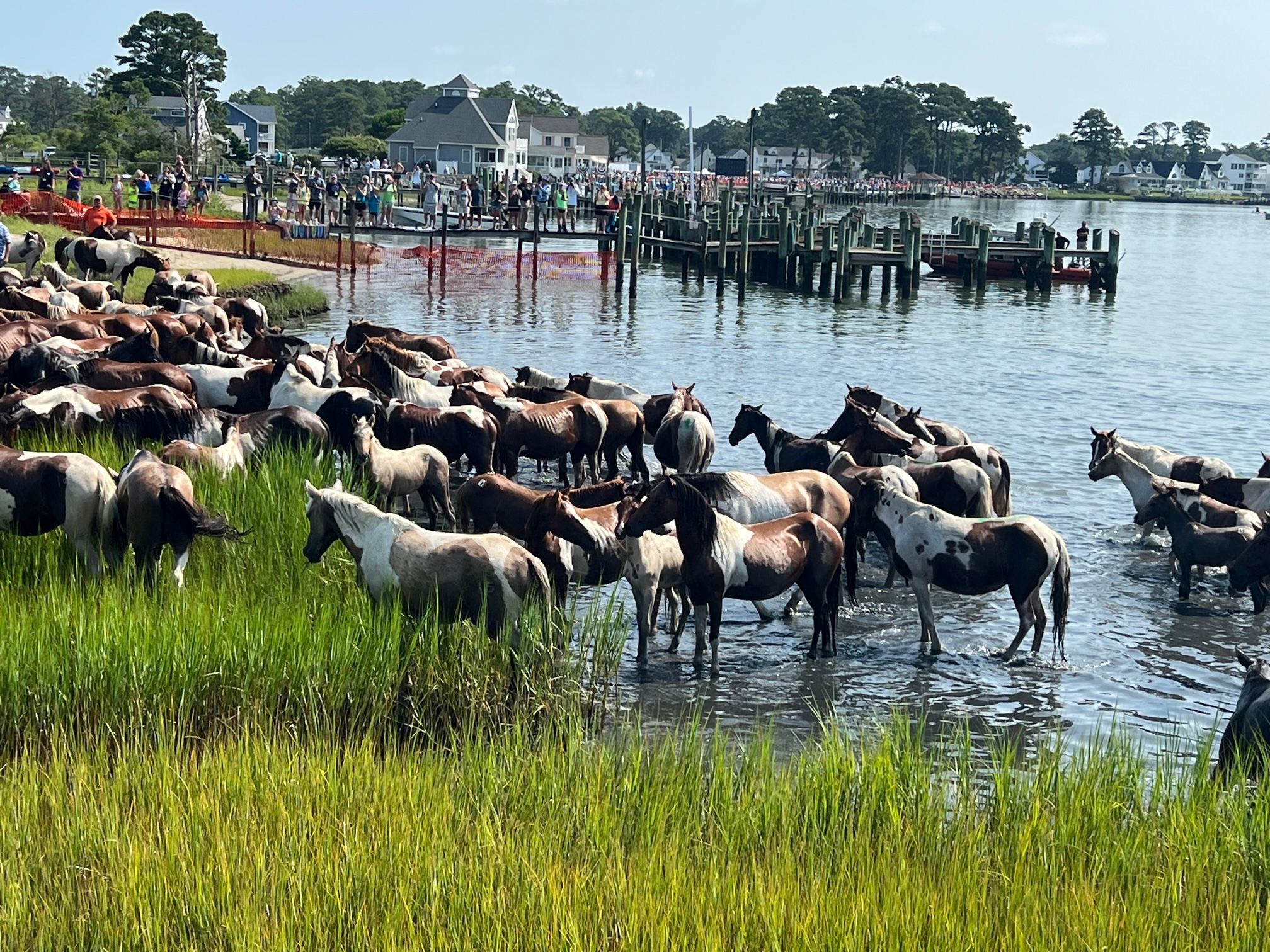 2023 Pony Swim Photos