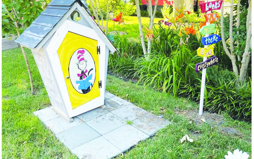 Thief steals Dr. Seuss-themed free-book box from Cape Charles yard